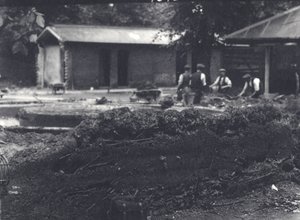 Beverburcht met verzorgers op de achtergrond, London Zoo, juli 1916 door Frederick William Bond
